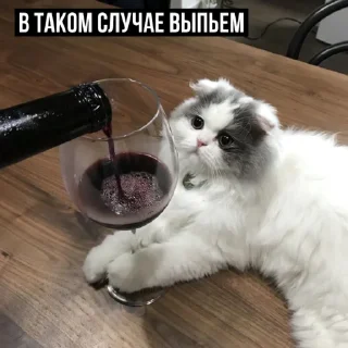 🍷