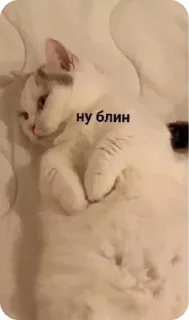 😔