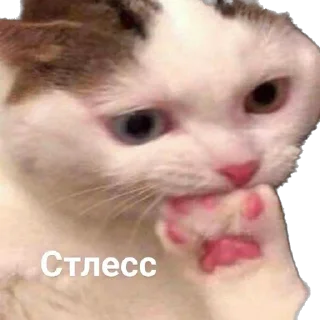 😥