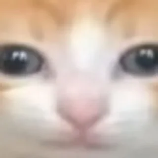 🤯