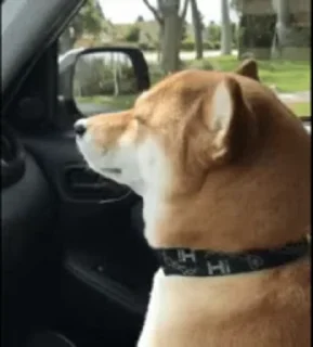 🙂