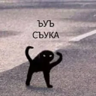 🗿