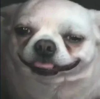 🤤