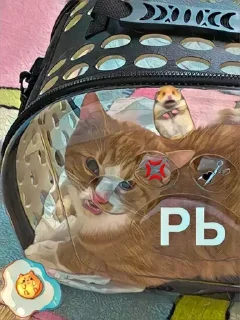 😡