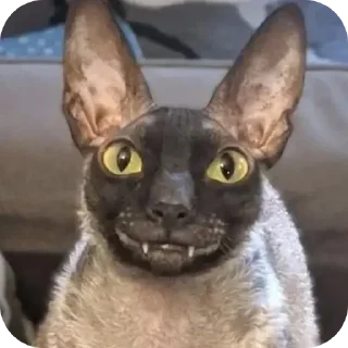 😀