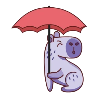🌂
