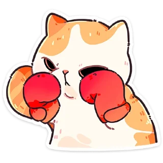 🥊