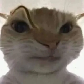 🤨