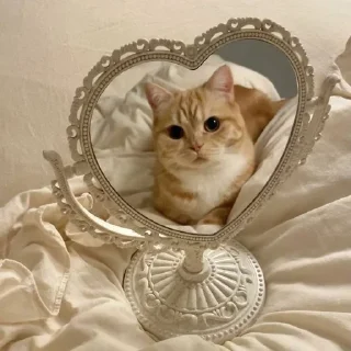 🪩