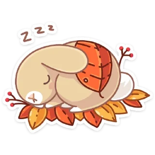😴