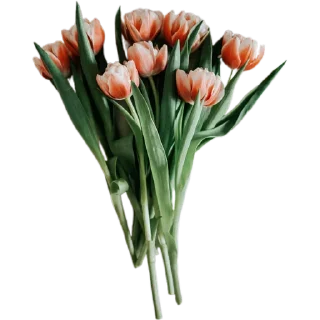💐