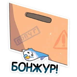 🙋‍♀️