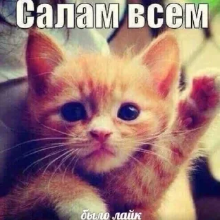 😁