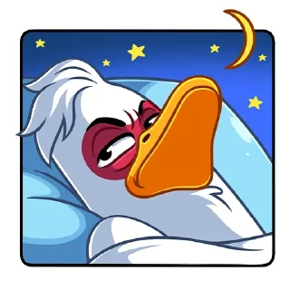 😴