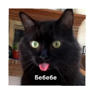 😛