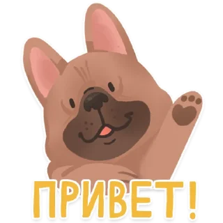 👋