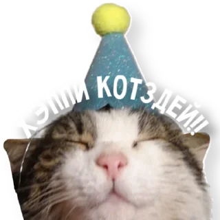 🥳