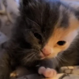 😖