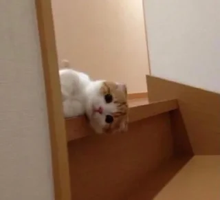 👀
