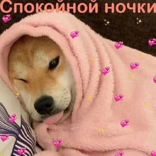 😴