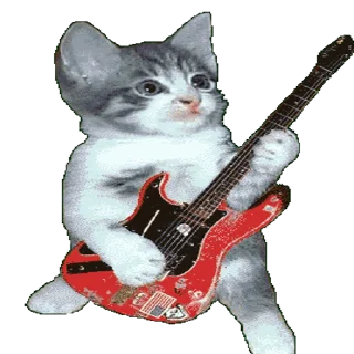🎶