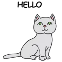 🐱
