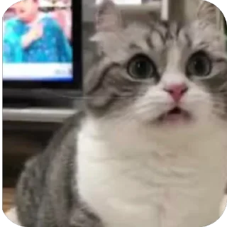 🫥