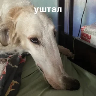 🫠