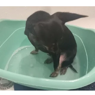 🌊