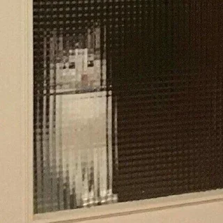 👾