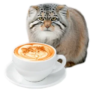 ☕️
