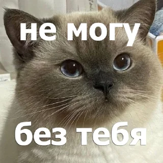 😒