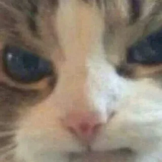 😡