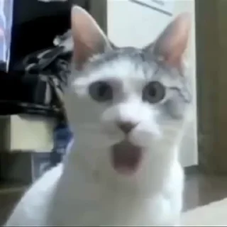 😱
