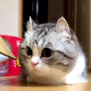 😟