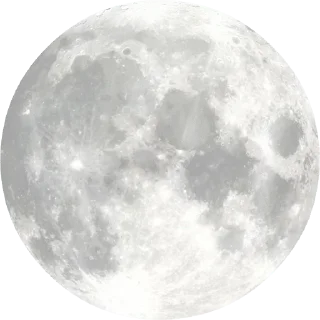 🌕