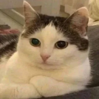 😐