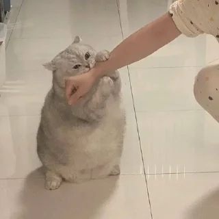 😁