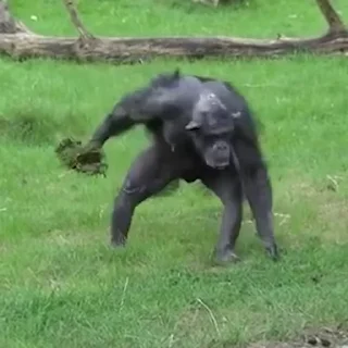😠