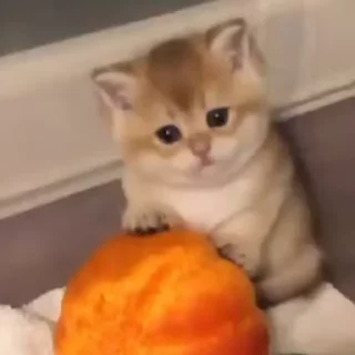 💕