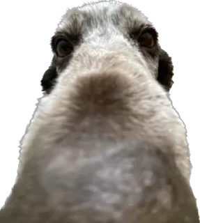 💙