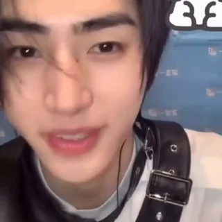 🐧