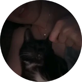 👋