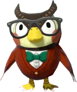 🦉