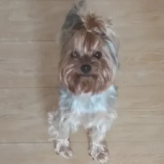 😐