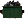 понос