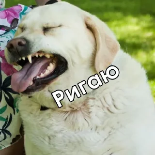 🤢