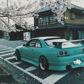 🟢