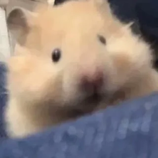🥺