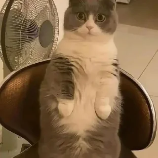 😳